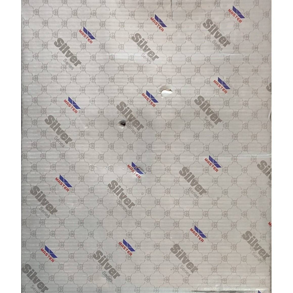 Shower Set Master 3099A